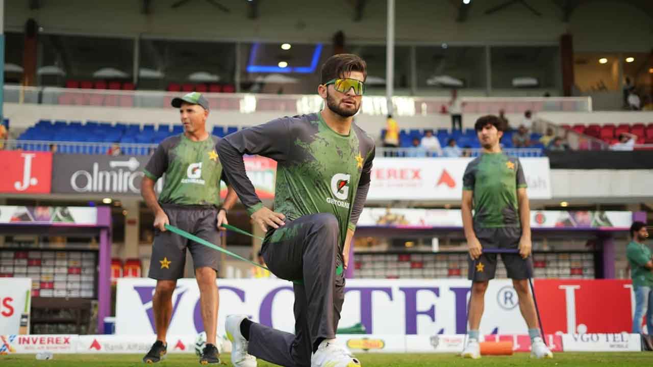 ‘টাইগার কারা?’, সংবাদ সম্মেলনে শাহিন আফ্রিদির প্রশ্ন